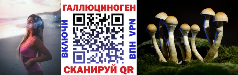 Галлюциногенные грибы Psilocybe  MEGA зеркало  Магадан 